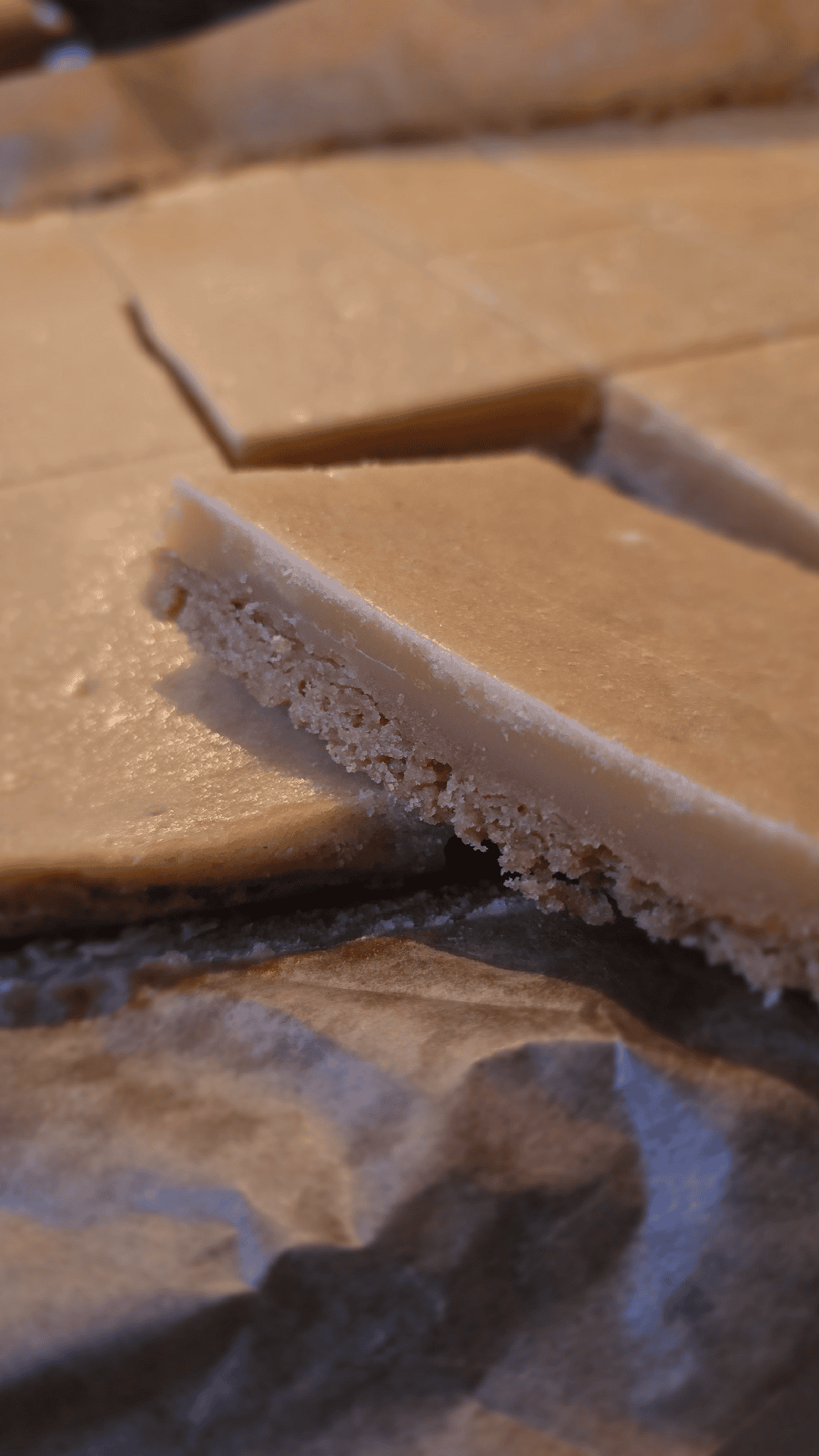 A real baked batch of Maplewood Lemon Bars, cut into squares.